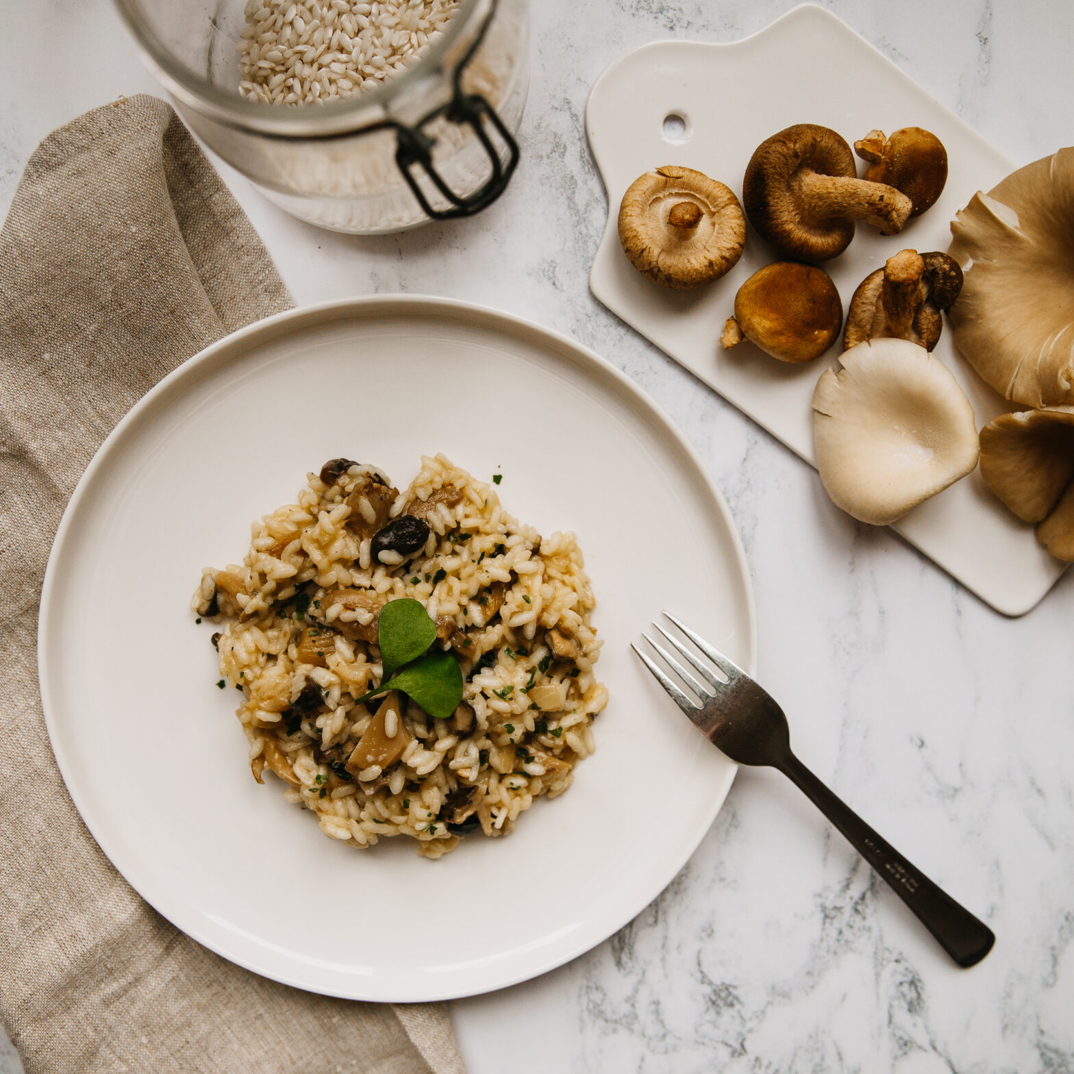 La Mycosphère : à la découverte du règne des champignons