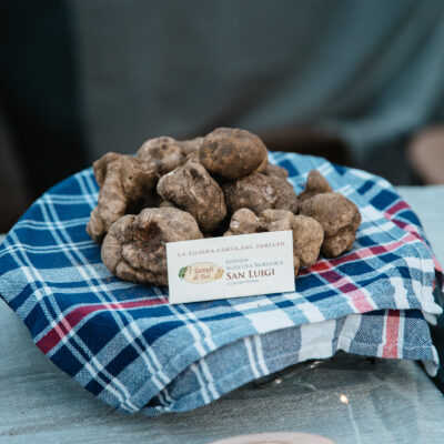 Découvrir la foire de la truffe blanche à San Miniato