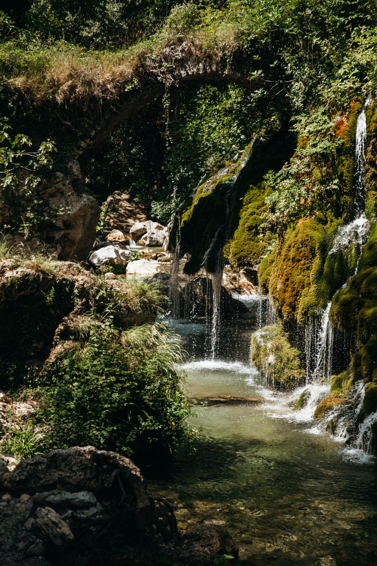 Une semaine dans le Cilento - Capelli di Venere