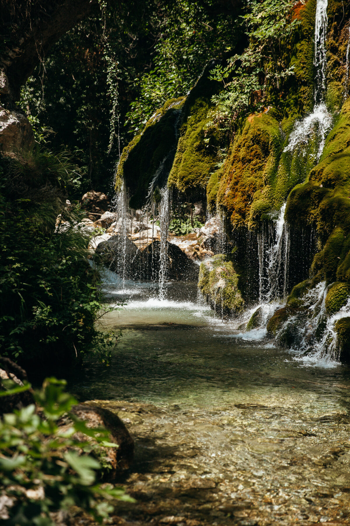 Une semaine dans le Cilento - Agriturismo San Leonardo Centola