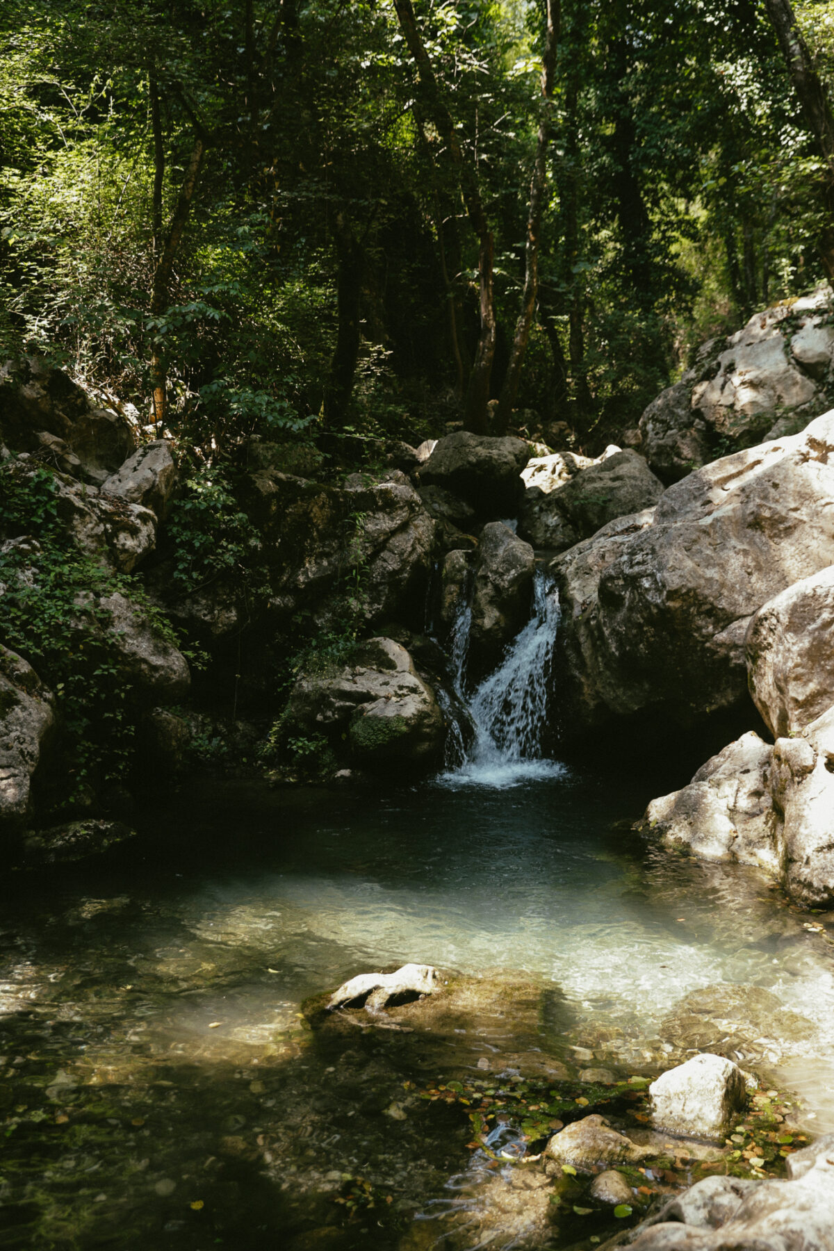 Oasis WWF Grottes du Bussento