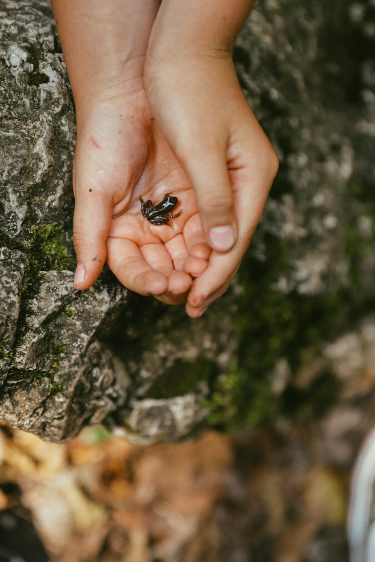 Oasis WWF Grottes du Bussento