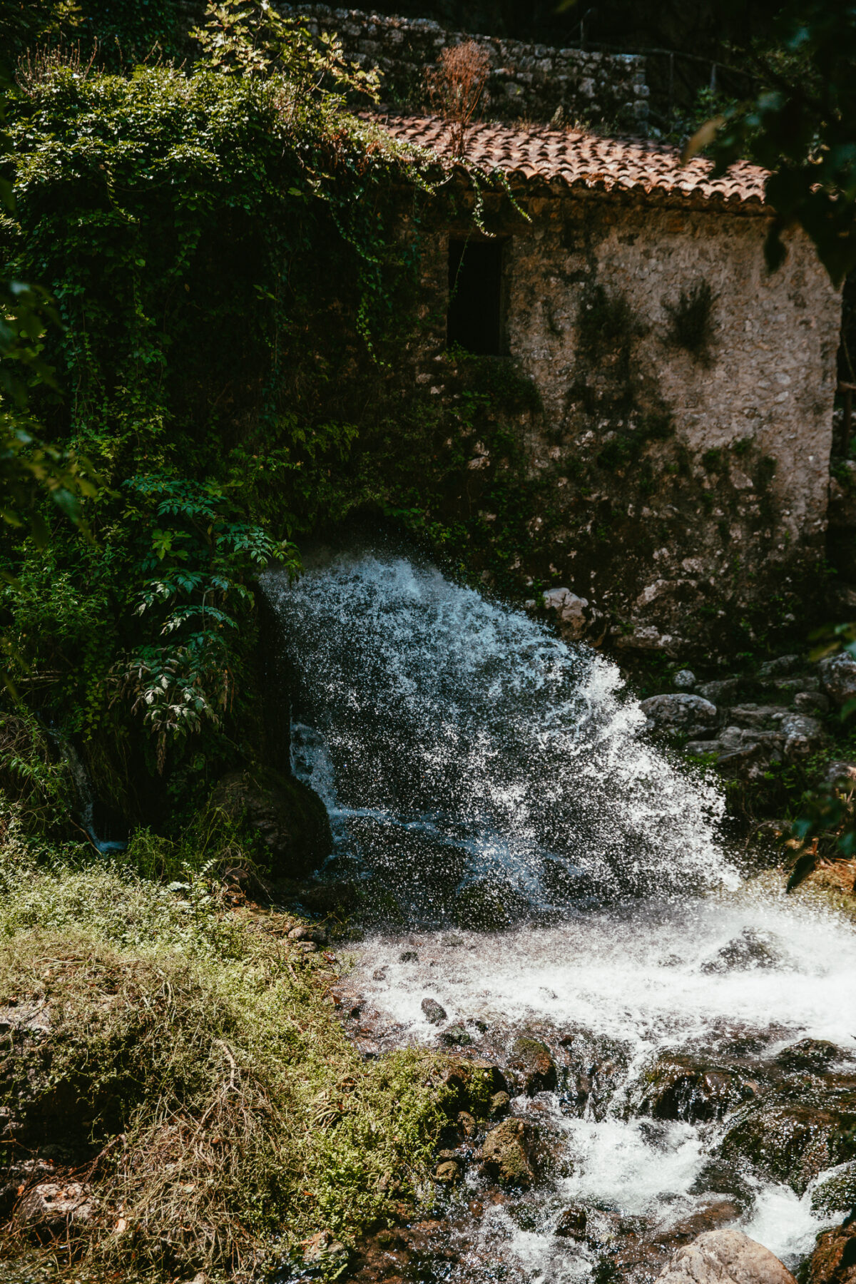 Oasis WWF Grottes du Bussento