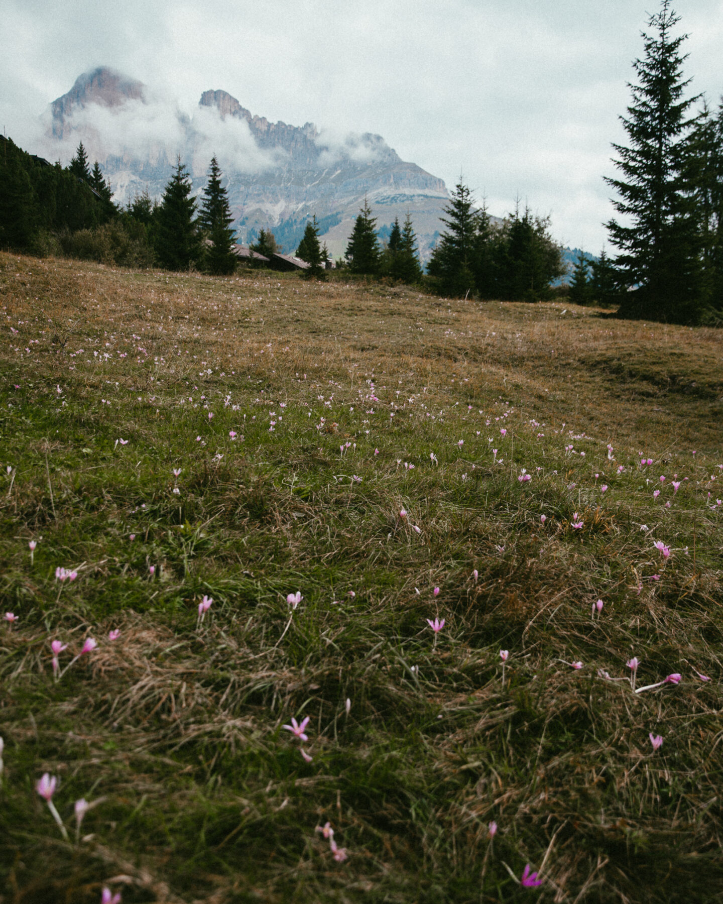 Re Laurin Tour Randonnée Carezza Dolomites