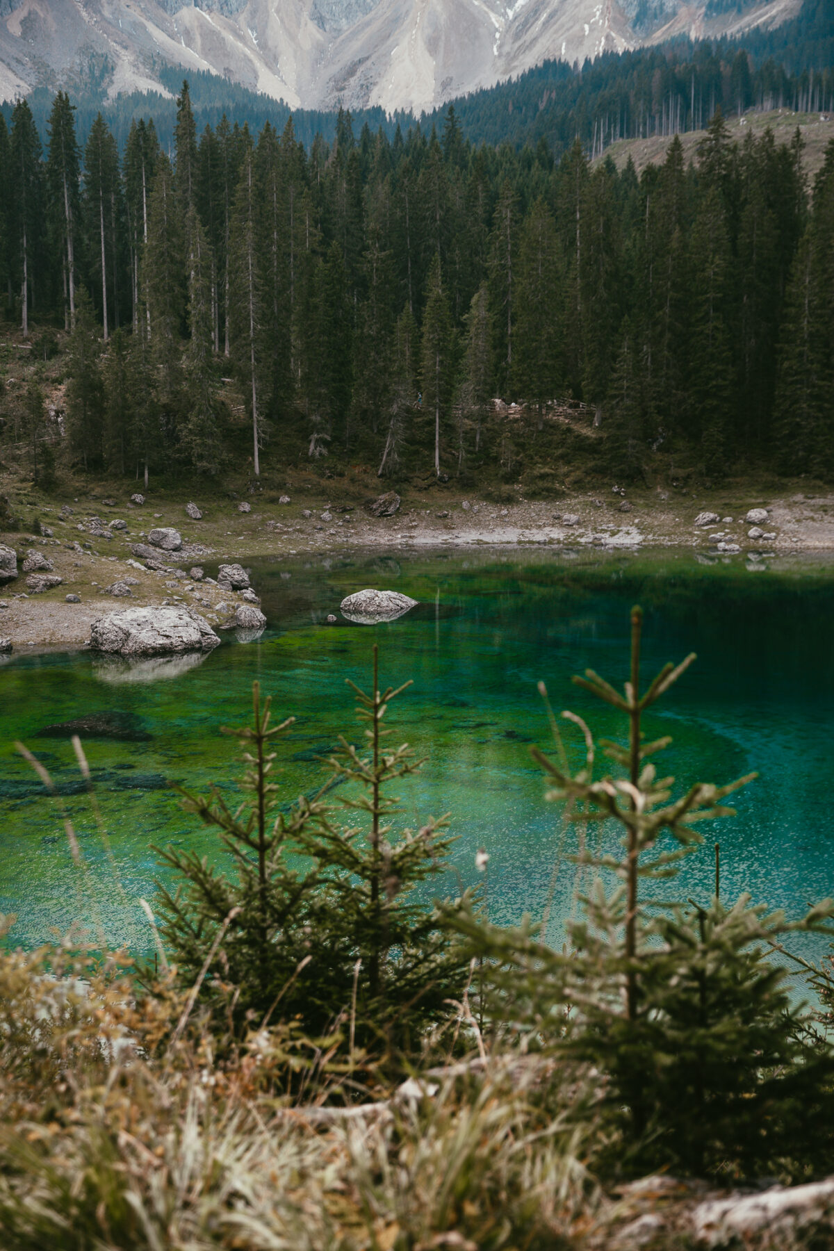 Lac de Carezza Dolomites bonnes adresses