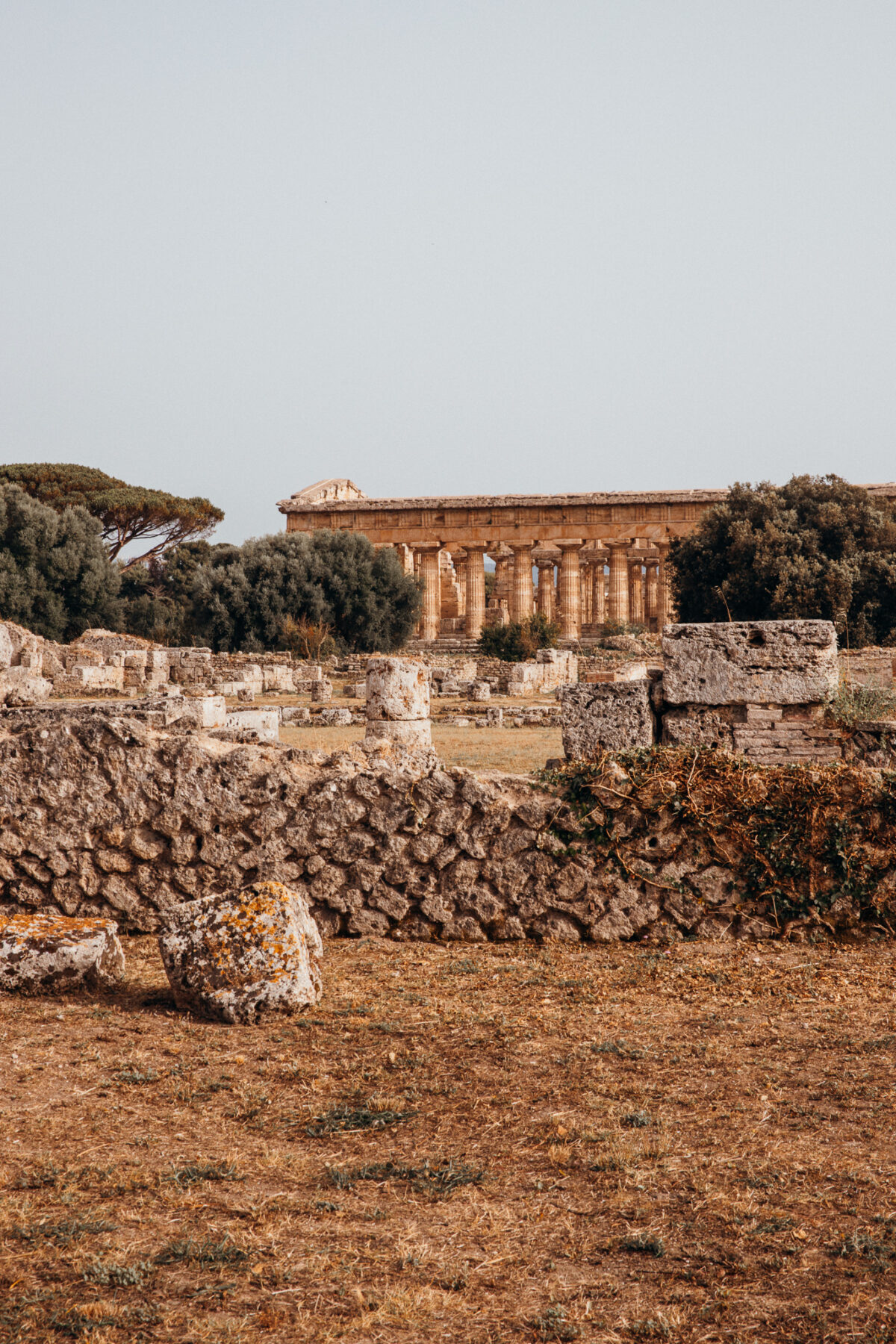 Paestum Visiter le Cilento