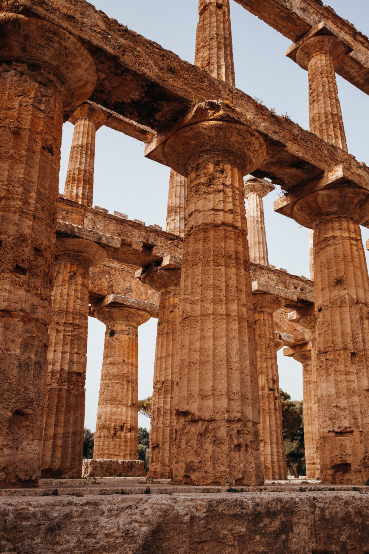 Paestum Visiter le Cilento