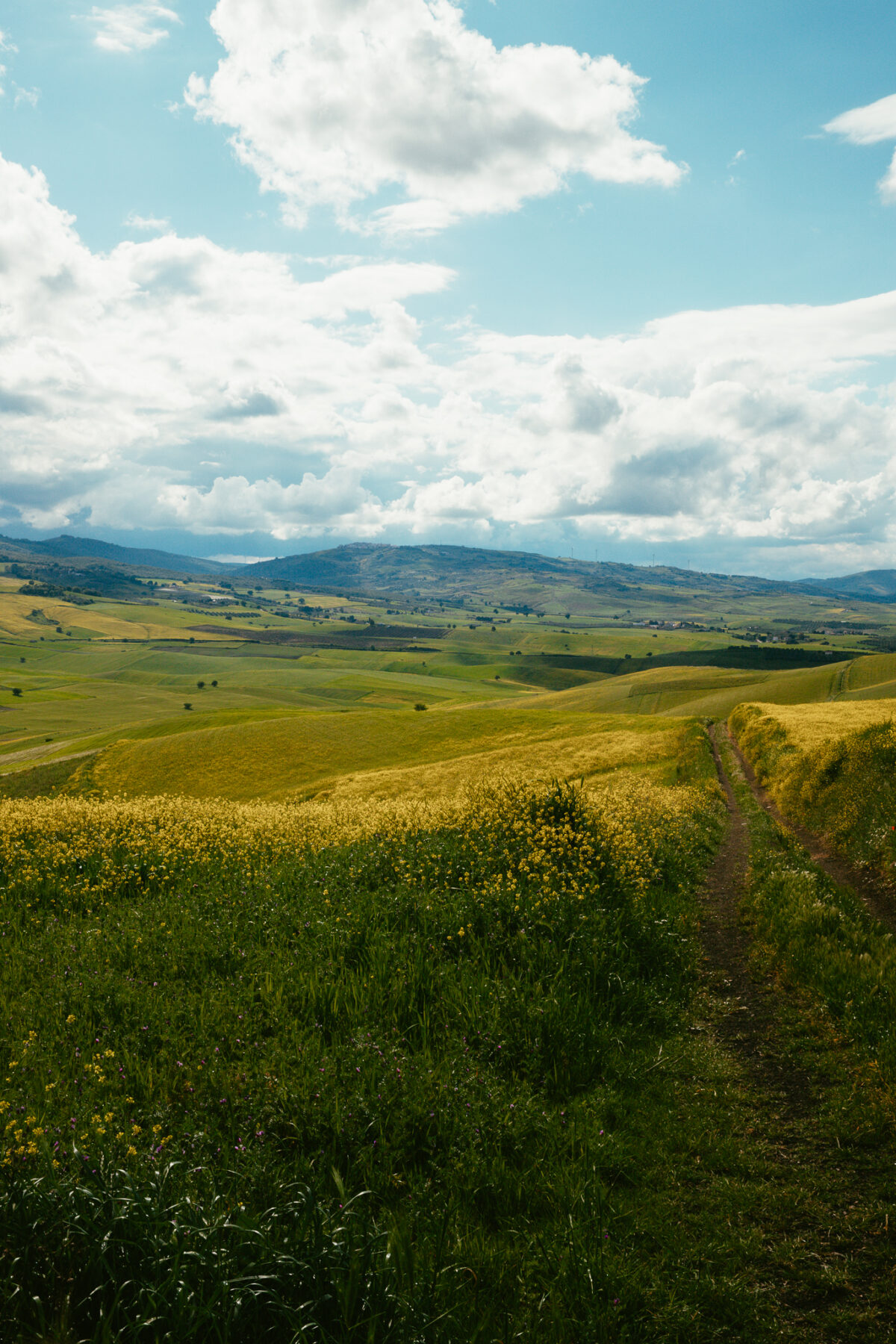 Campagne Tricarico, Basilicate, roadtrip