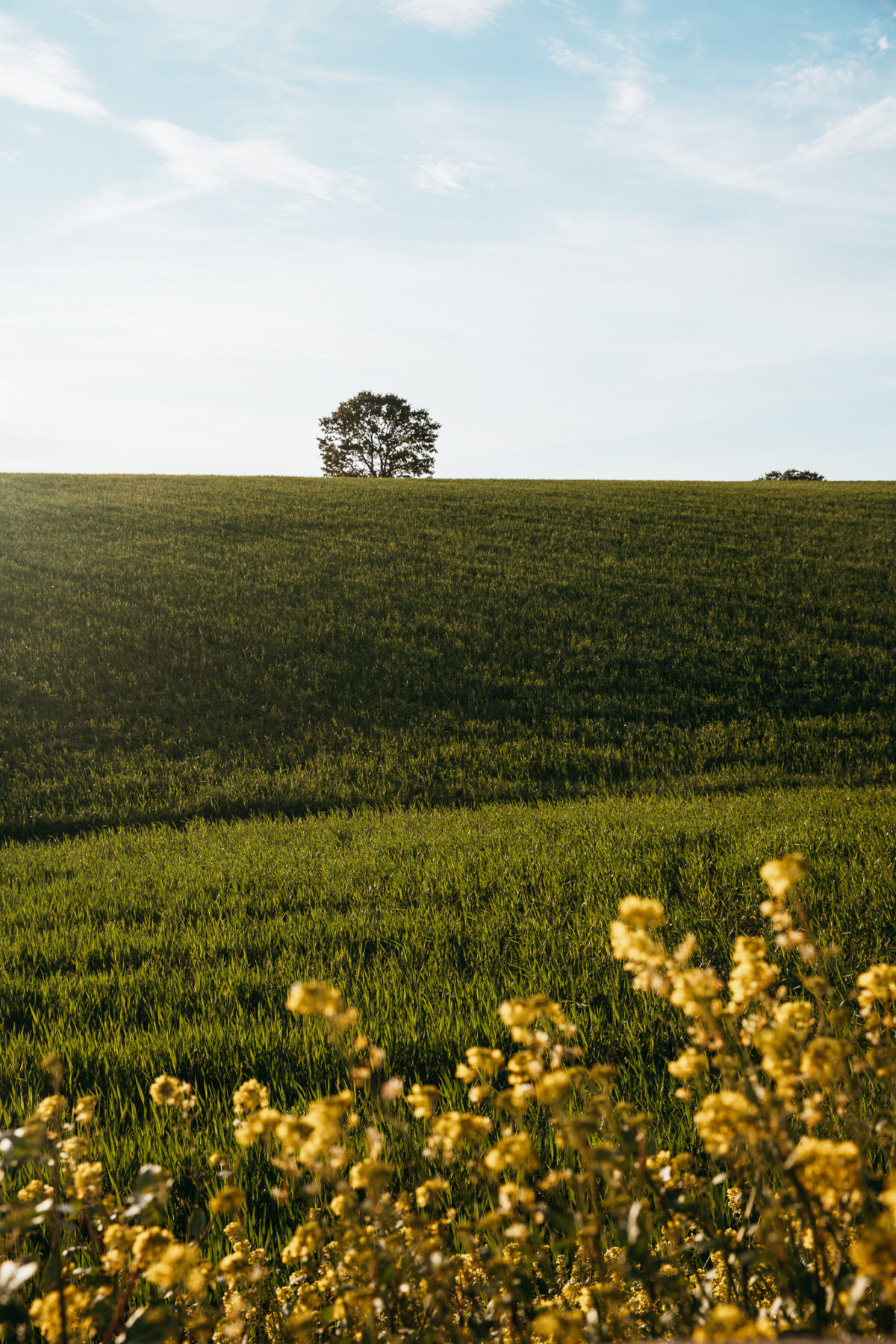 Agriturismo il Riccio Monticchio