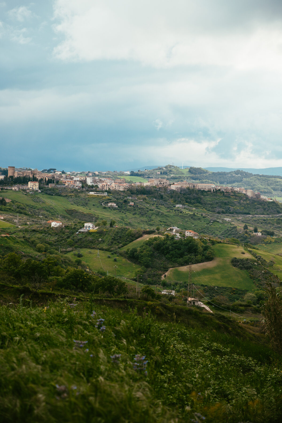 Tricarico