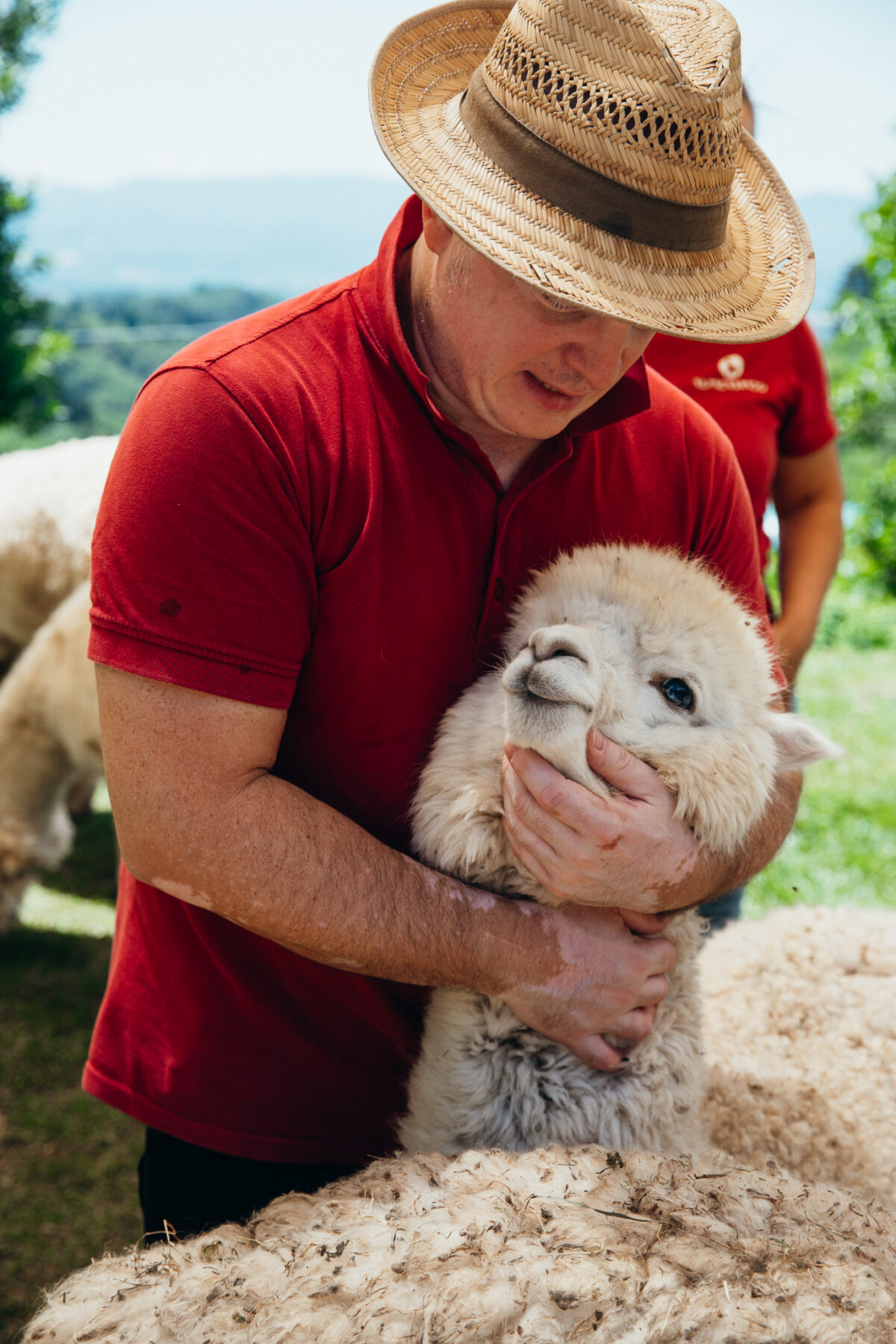 pique-nique avec des aplagas Alpaca Brado Mugello
