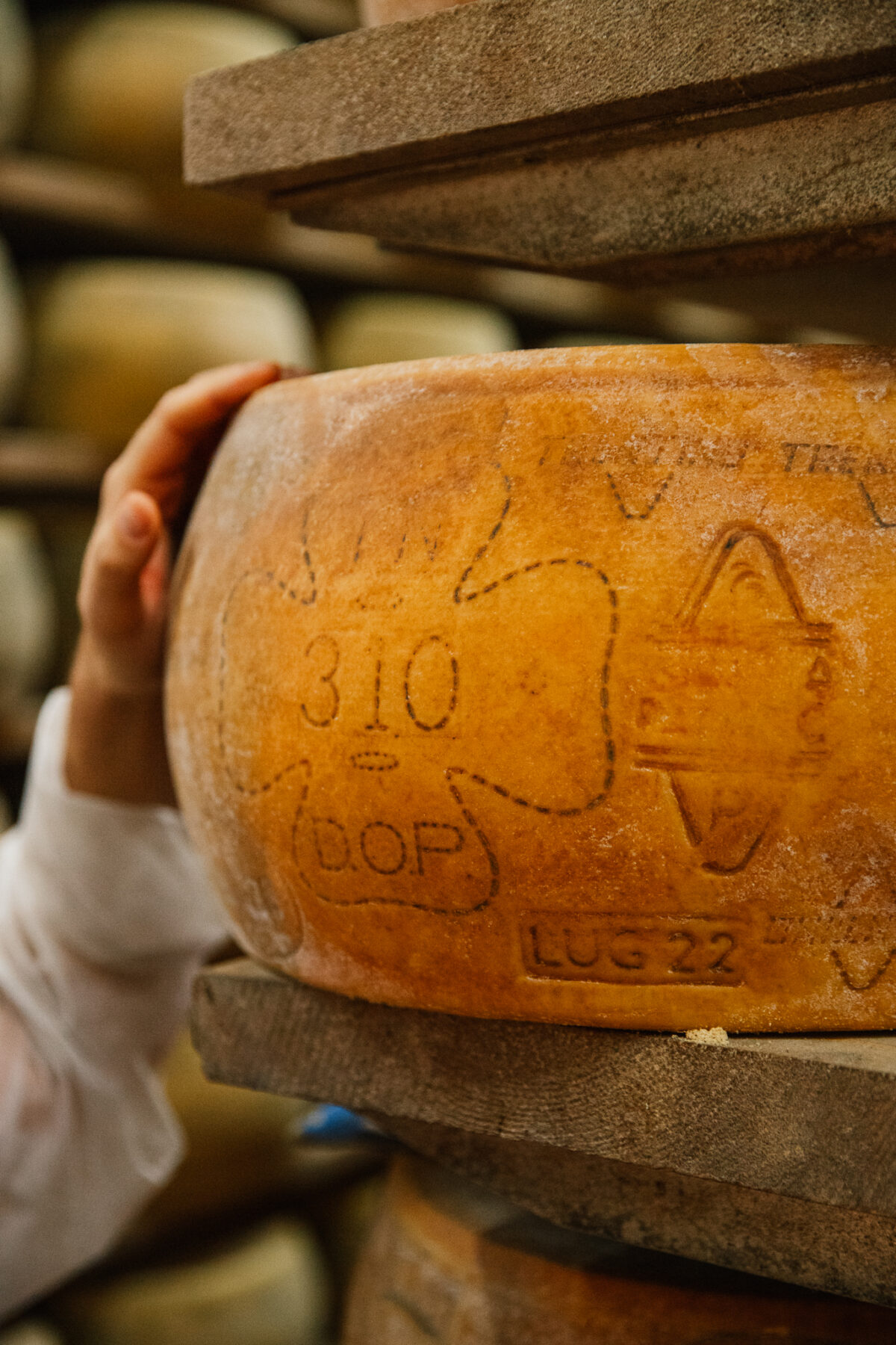 Caseificio Primiero fromagerie Dolomites San Martino di Castrozza