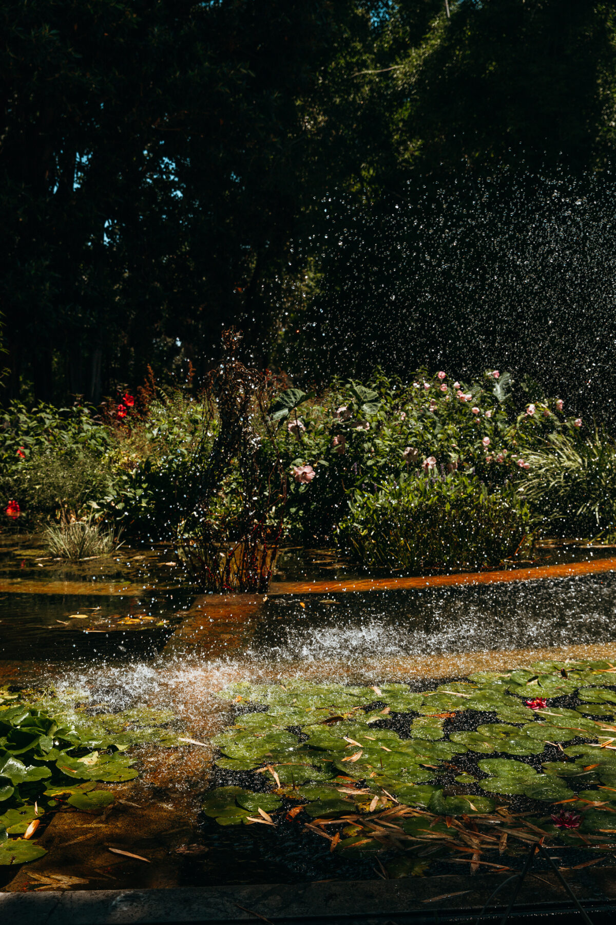 Palerme jardin botanique