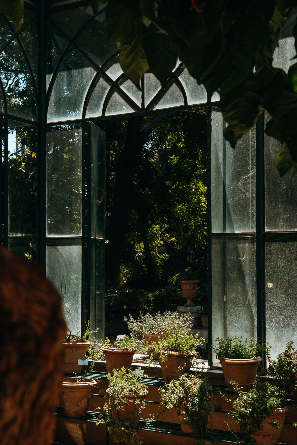 Palerme jardin botanique