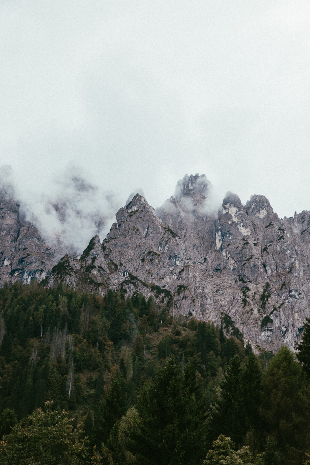 Descente des alpages desmontegada en di al maso Dolomites