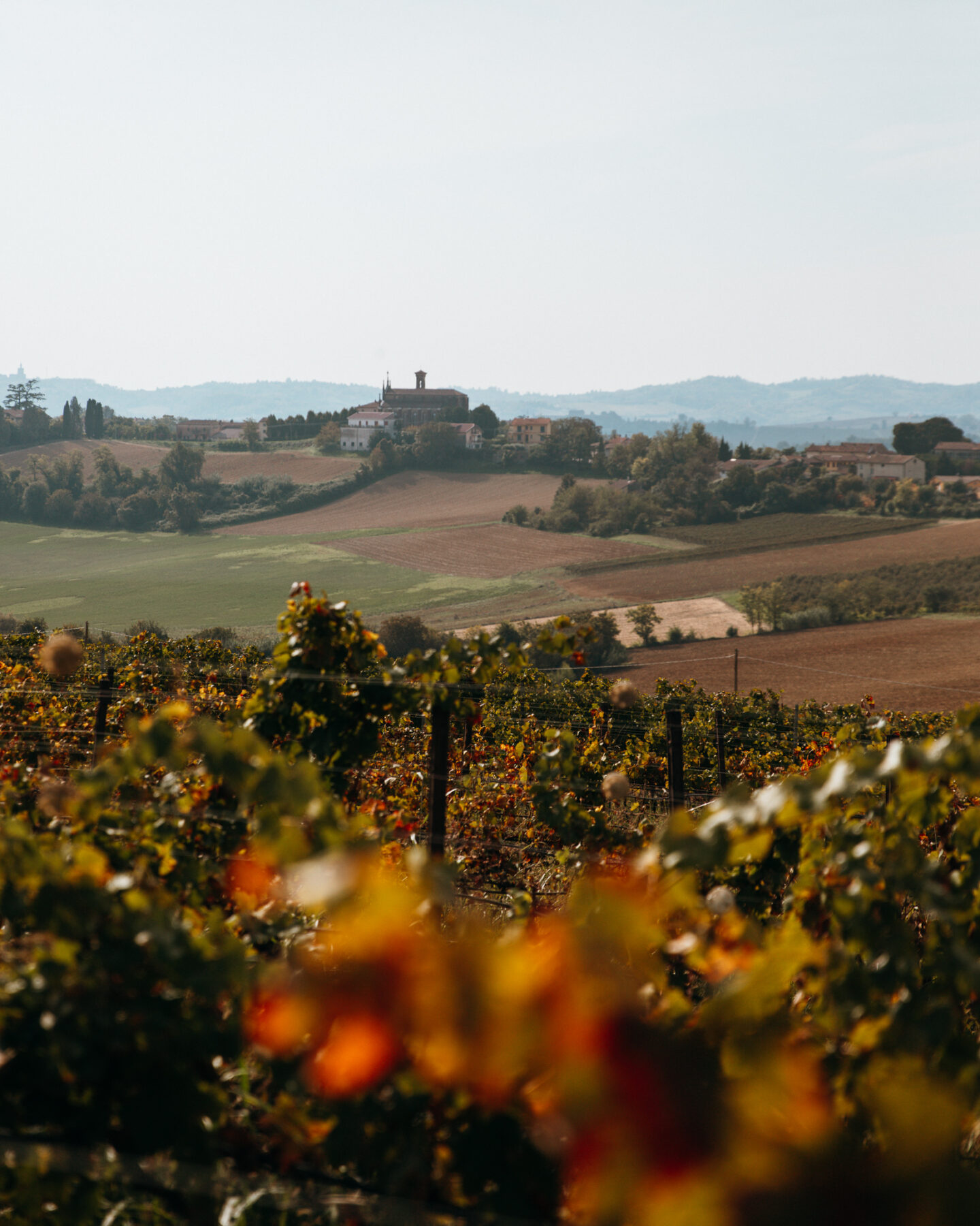 Visiter le Monferrato Piémont dégustation de vin