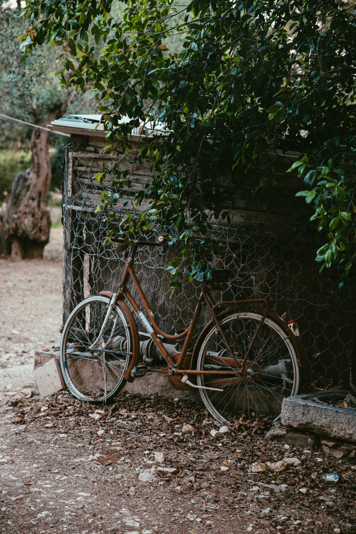 Agriturismo Duca di Caselmonte