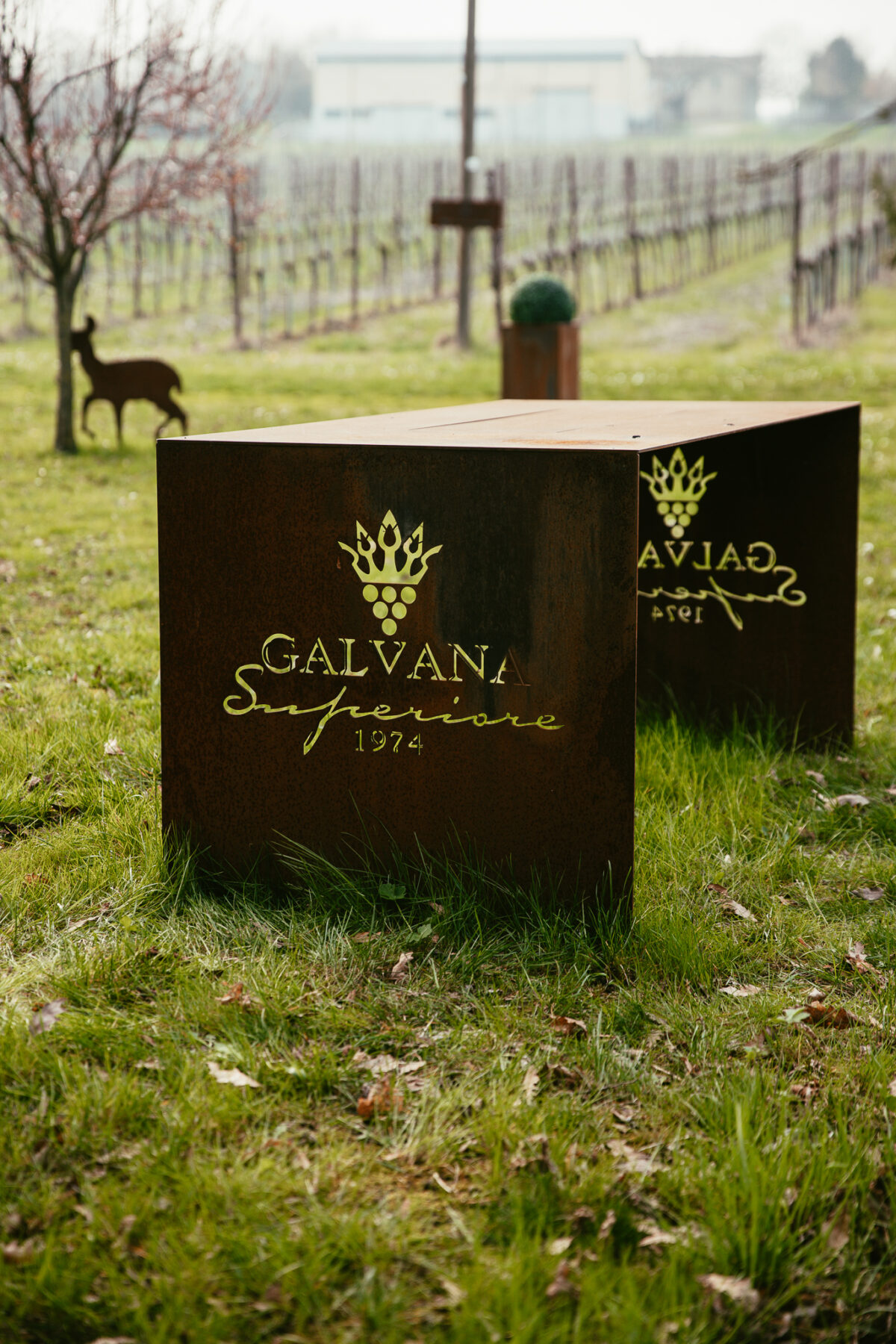 Trois jours en Émilie-Romagne Lambrusco