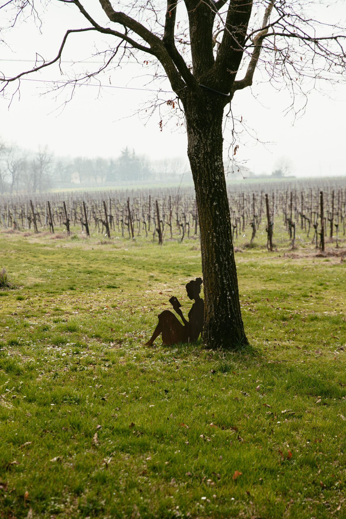Trois jours en Émilie-Romagne Lambrusco