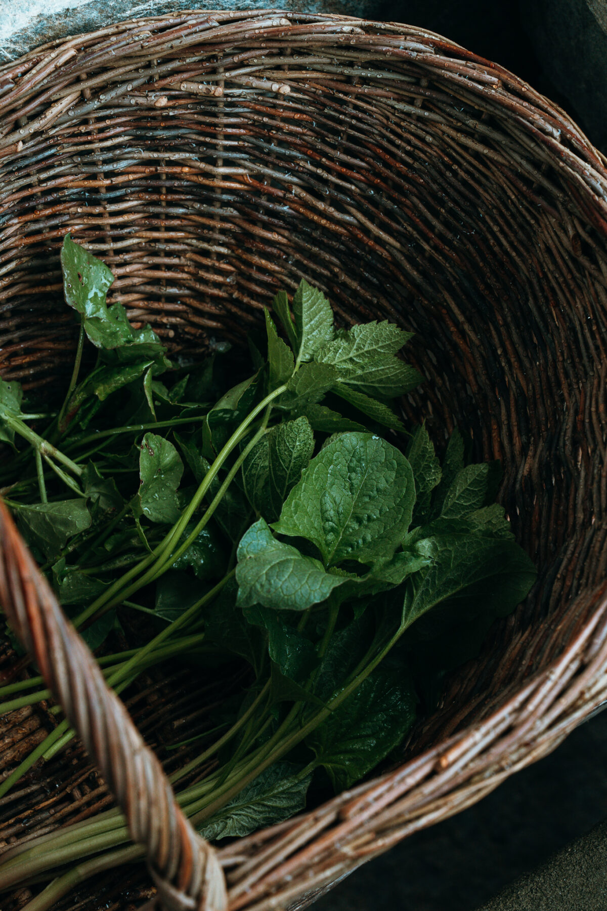 Cours de cuisine au Piémont Cucina Servaj