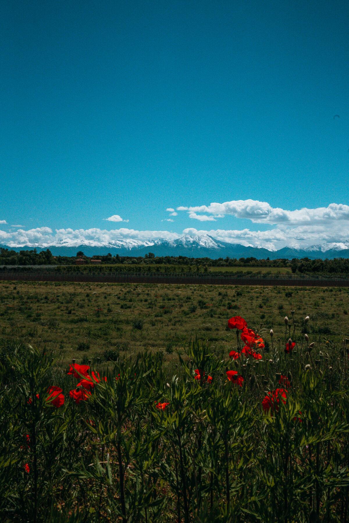 Visiter le Piémont - Cuneo