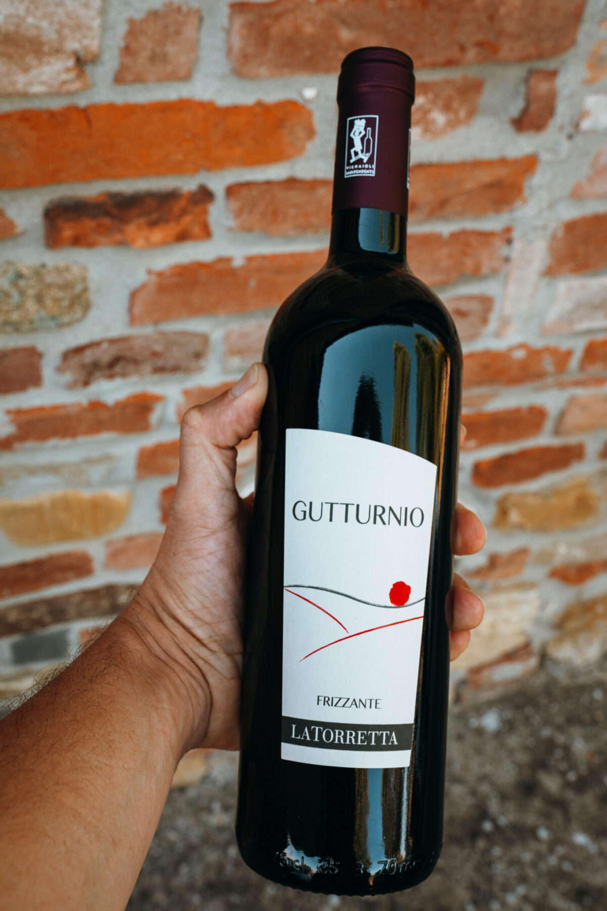 Val Tidone Wine Fest Piacenza