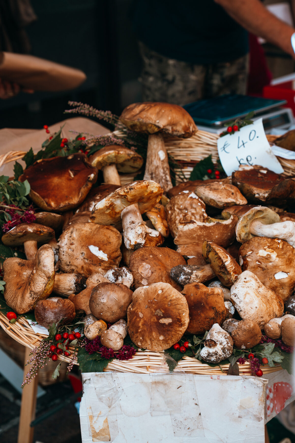 Fiera del Fungo di Borgotaro - cèpes de Borgotaro fête gastronomique