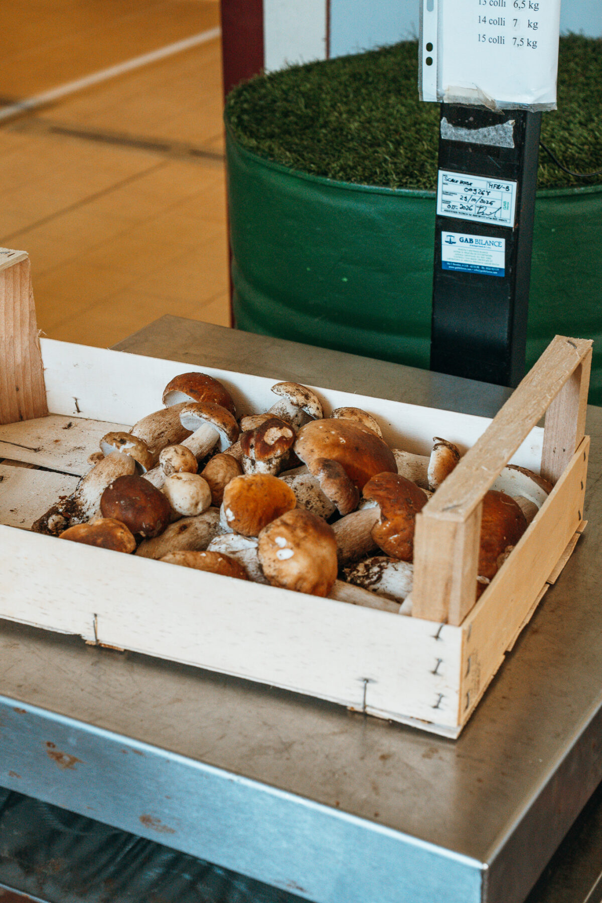 Fiera del Fungo di Borgotaro - cèpes de Borgotaro fête gastronomique