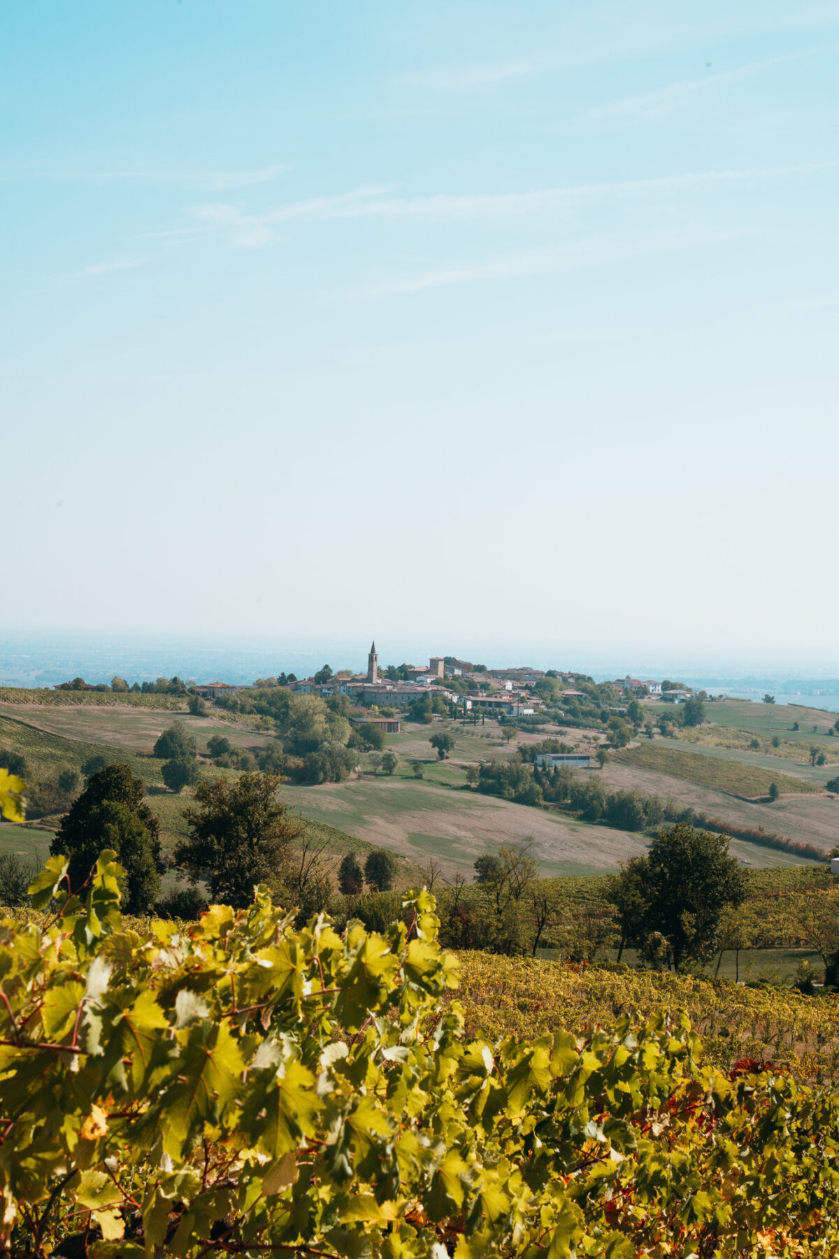 Val Tidone Wine Fest Piacenza